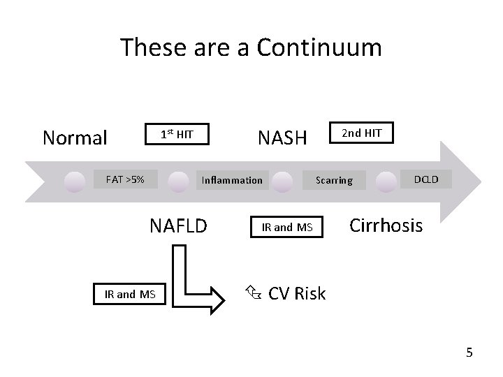 These are a Continuum Normal NASH 1 st HIT FAT >5% Inflammation NAFLD IR