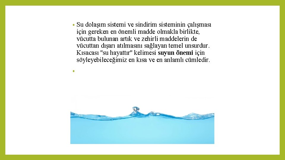 • • Su dolaşım sistemi ve sindirim sisteminin çalışması için gereken en önemli • • Su dolaşım sistemi ve sindirim sisteminin çalışması için gereken en önemli