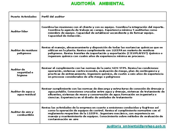 AUDITORÍA AMBIENTAL Puesto Actividades Perfil del auditor Auditor líder Coordina las reuniones con el