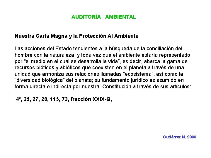 AUDITORÍA AMBIENTAL Nuestra Carta Magna y la Protección Al Ambiente Las acciones del Estado