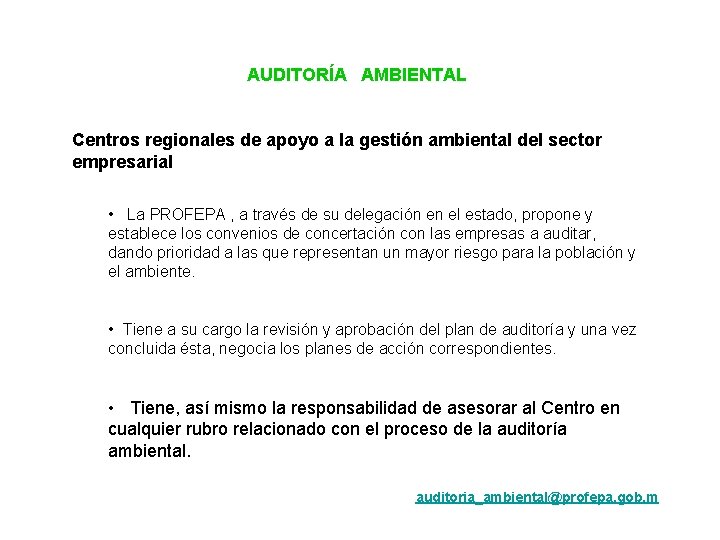 AUDITORÍA AMBIENTAL Centros regionales de apoyo a la gestión ambiental del sector empresarial •