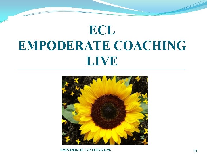 ECL EMPODERATE COACHING LIVE 23 