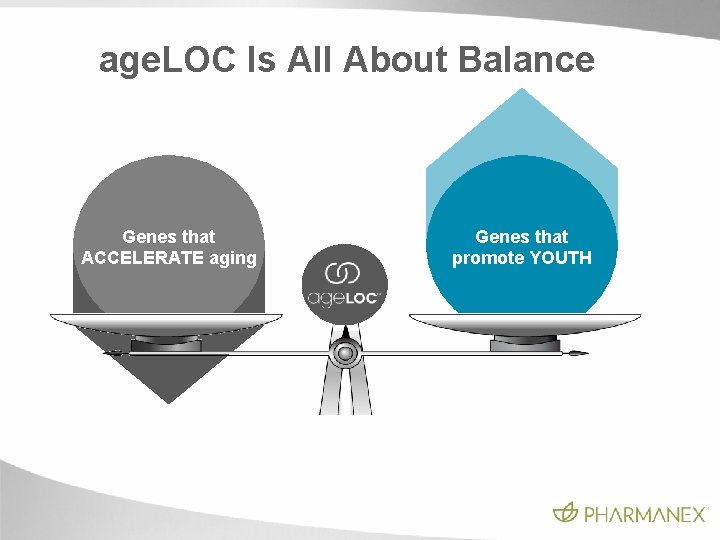 age. LOC Is All About Balance Genes that ACCELERATE aging Genes that promote YOUTH age. LOC Is All About Balance Genes that ACCELERATE aging Genes that promote YOUTH