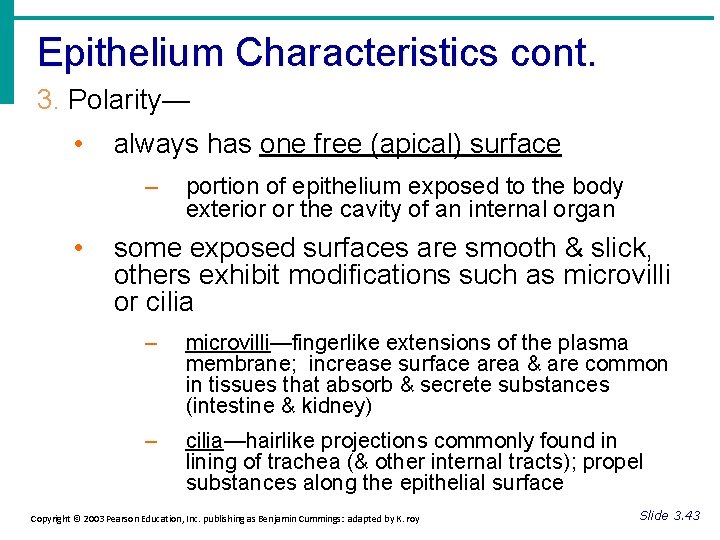 Epithelium Characteristics cont. 3. Polarity— • always has one free (apical) surface – •