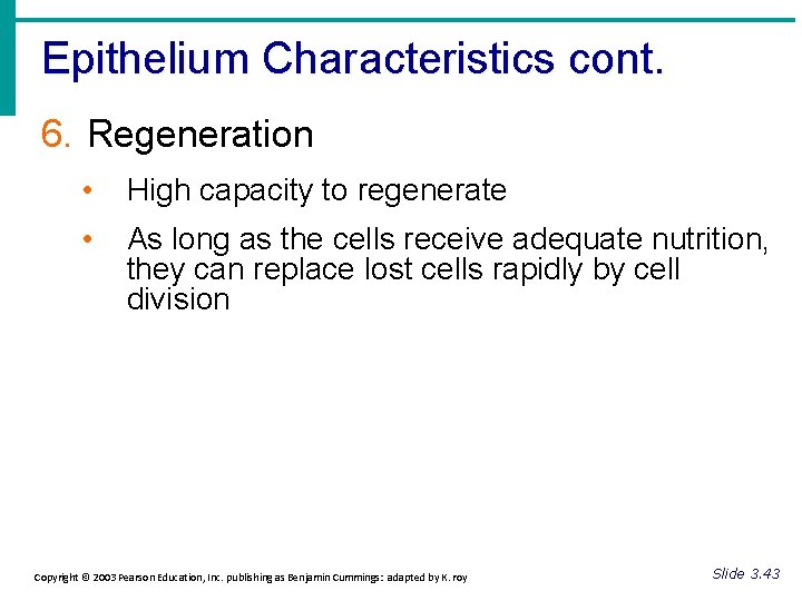 Epithelium Characteristics cont. 6. Regeneration • High capacity to regenerate • As long as