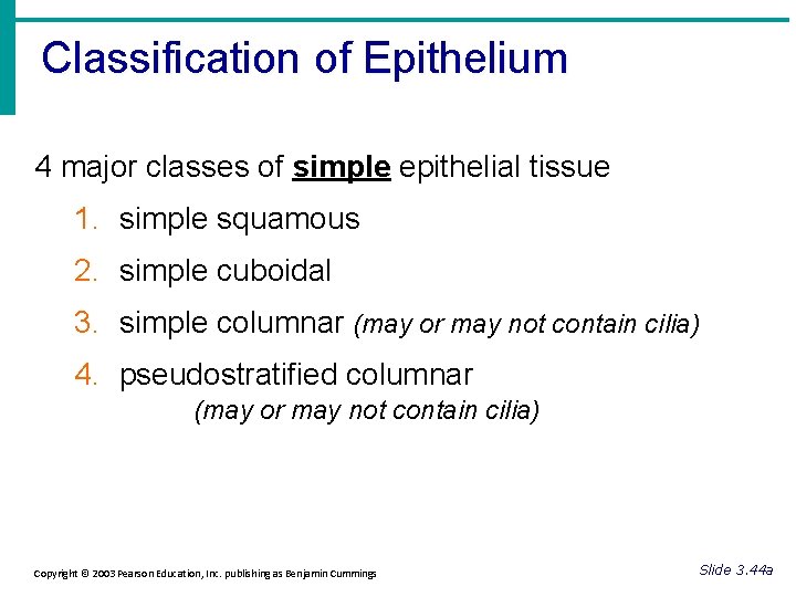 Classification of Epithelium 4 major classes of simple epithelial tissue 1. simple squamous 2.