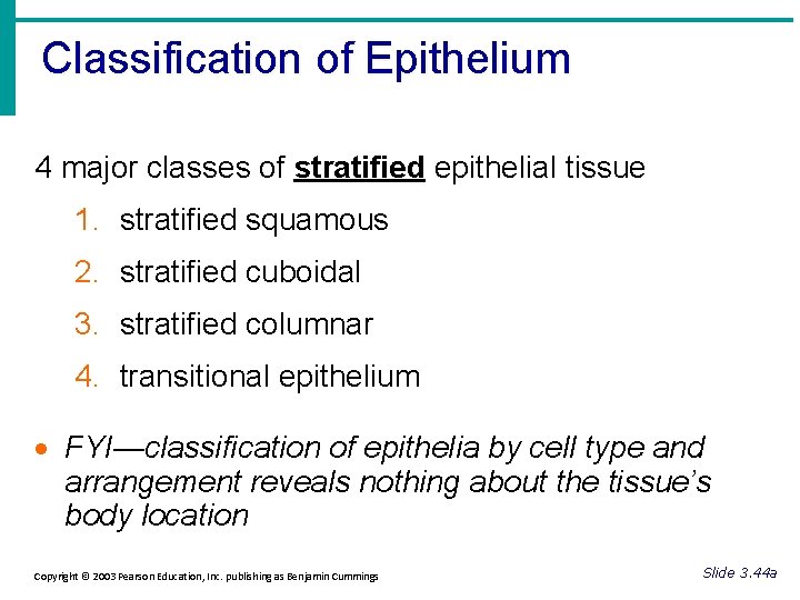 Classification of Epithelium 4 major classes of stratified epithelial tissue 1. stratified squamous 2.