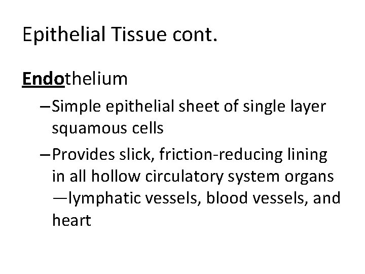 Epithelial Tissue cont. Endothelium – Simple epithelial sheet of single layer squamous cells –