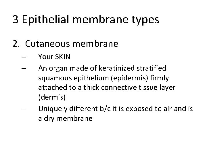 3 Epithelial membrane types 2. Cutaneous membrane – – – Your SKIN An organ