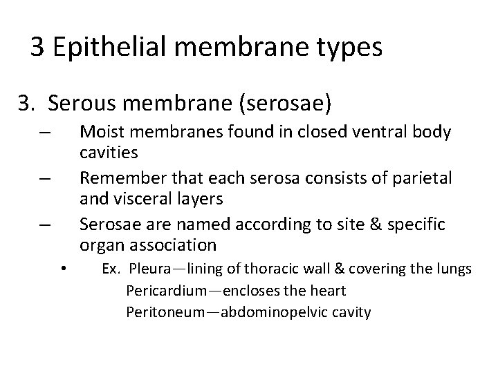 3 Epithelial membrane types 3. Serous membrane (serosae) Moist membranes found in closed ventral