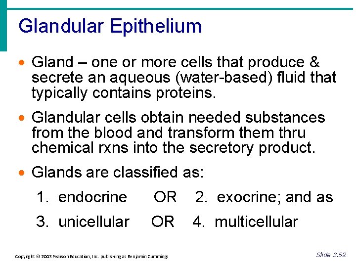 Glandular Epithelium · Gland – one or more cells that produce & secrete an