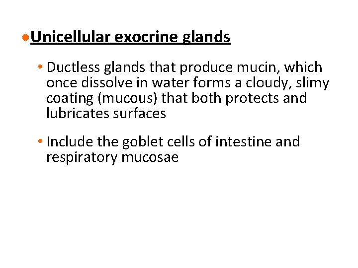 · Unicellular exocrine glands • Ductless glands that produce mucin, which once dissolve in