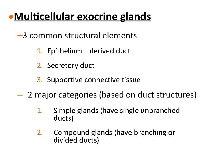 ·Multicellular exocrine glands – 3 common structural elements 1. Epithelium—derived duct 2. Secretory duct