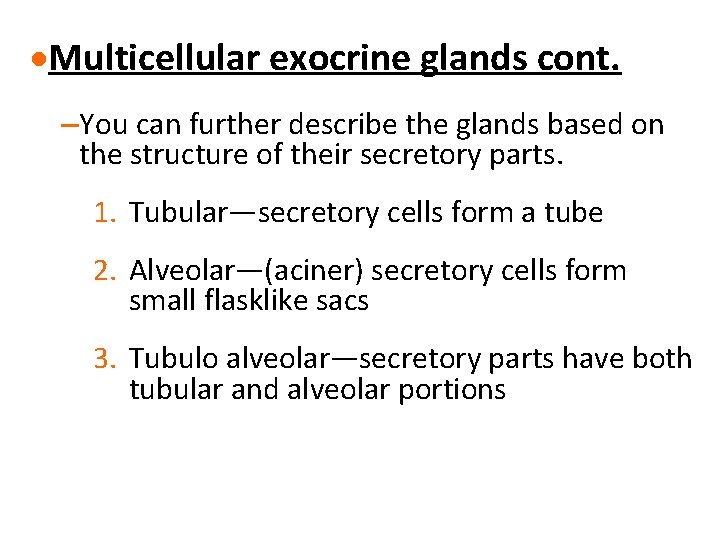 ·Multicellular exocrine glands cont. –You can further describe the glands based on the structure