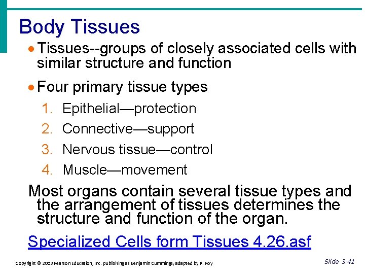 Body Tissues · Tissues--groups of closely associated cells with similar structure and function ·