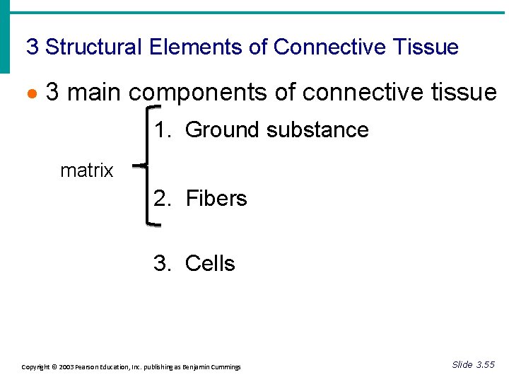 3 Structural Elements of Connective Tissue · 3 main components of connective tissue 1.