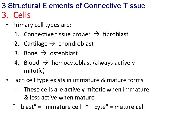 3 Structural Elements of Connective Tissue 3. Cells • Primary cell types are: 1.