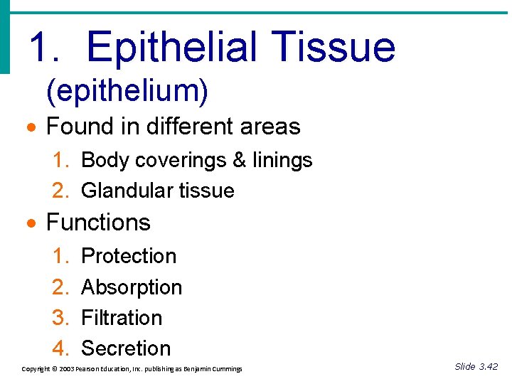 1. Epithelial Tissue (epithelium) · Found in different areas 1. Body coverings & linings