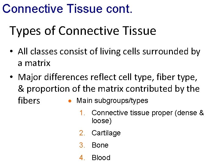 Connective Tissue cont. Types of Connective Tissue • All classes consist of living cells