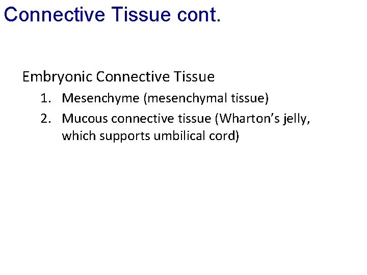 Connective Tissue cont. Embryonic Connective Tissue 1. Mesenchyme (mesenchymal tissue) 2. Mucous connective tissue