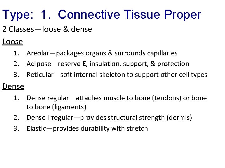 Type: 1. Connective Tissue Proper 2 Classes—loose & dense Loose 1. Areolar—packages organs &