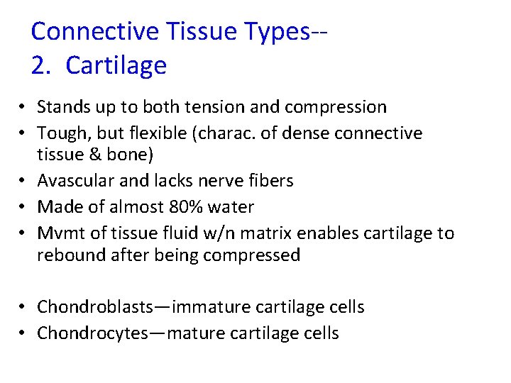 Connective Tissue Types-2. Cartilage • Stands up to both tension and compression • Tough,