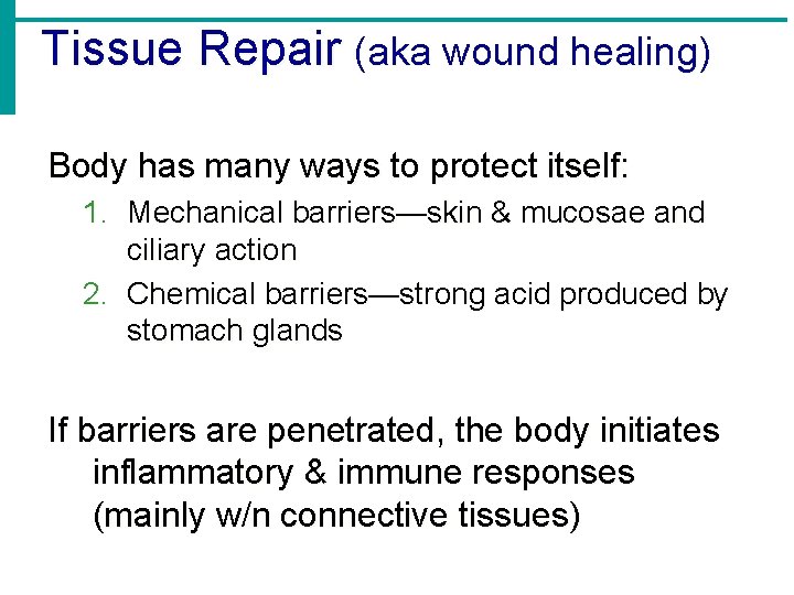 Tissue Repair (aka wound healing) Body has many ways to protect itself: 1. Mechanical