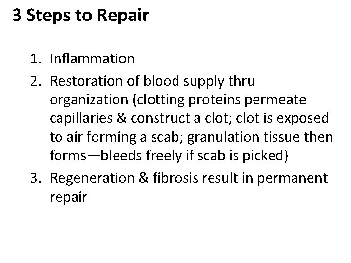 3 Steps to Repair 1. Inflammation 2. Restoration of blood supply thru organization (clotting