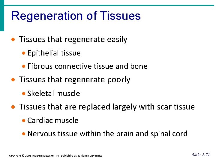 Regeneration of Tissues · Tissues that regenerate easily · Epithelial tissue · Fibrous connective