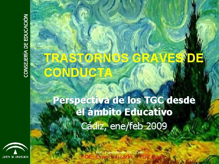 TRASTORNOS GRAVES DE CONDUCTA Perspectiva de los TGC desde el ámbito Educativo Cádiz, ene/feb