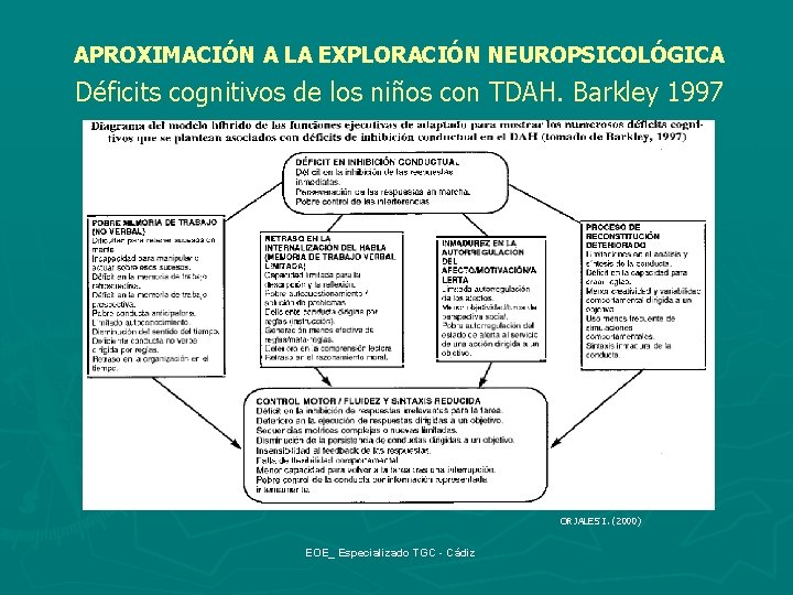 APROXIMACIÓN A LA EXPLORACIÓN NEUROPSICOLÓGICA Déficits cognitivos de los niños con TDAH. Barkley 1997