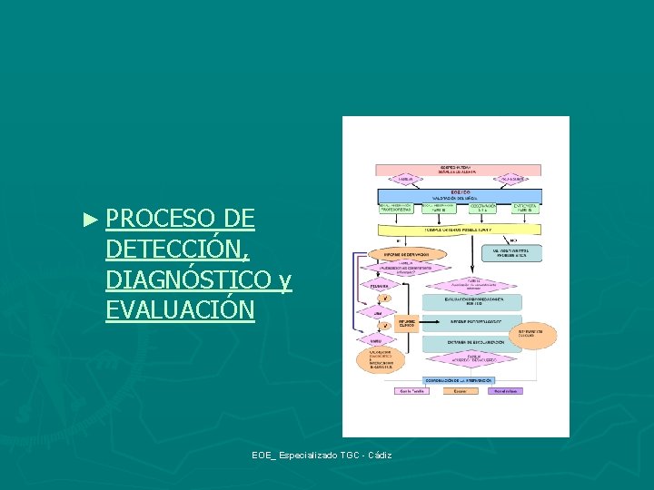 ► PROCESO DE DETECCIÓN, DIAGNÓSTICO y EVALUACIÓN EOE_ Especializado TGC - Cádiz 