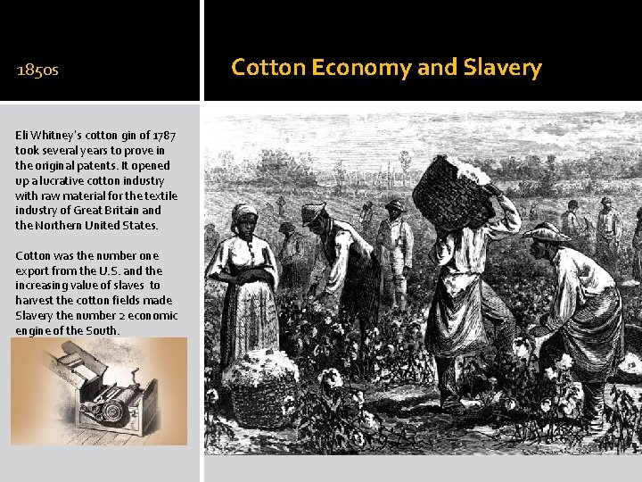 1850 s Eli Whitney’s cotton gin of 1787 took several years to prove in