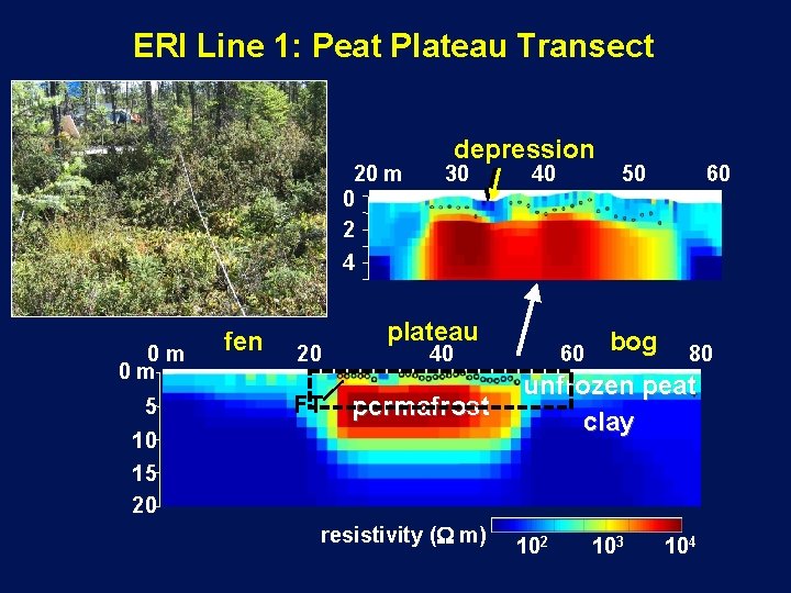 ERI Line 1: Peat Plateau Transect 20 m 0 2 depression 30 40 50