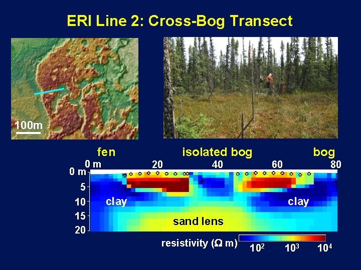 ERI Line 2: Cross-Bog Transect 100 m fen 0 m 0 m isolated bog