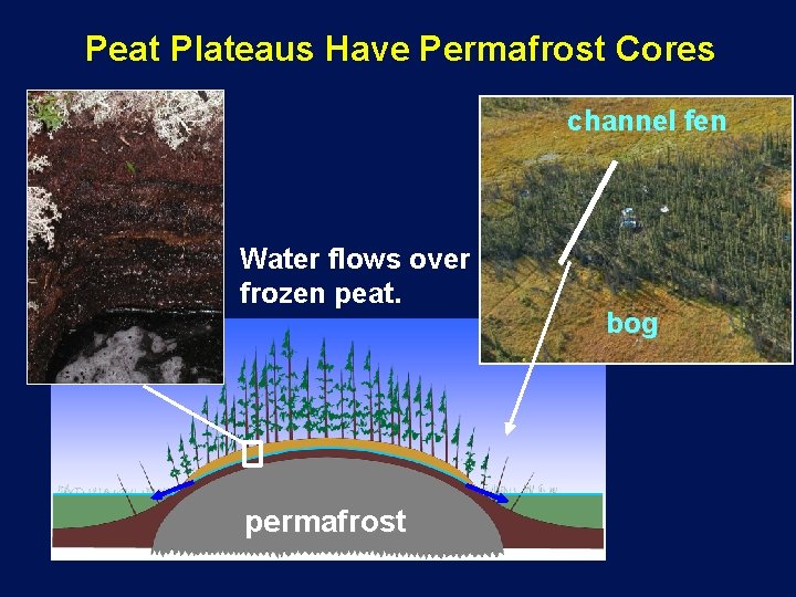 Peat Plateaus Have Permafrost Cores channel fen Water flows over frozen peat. permafrost bog