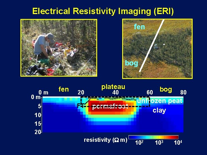 Electrical Resistivity Imaging (ERI) fen bog 0 m 0 m 5 fen 20 FT