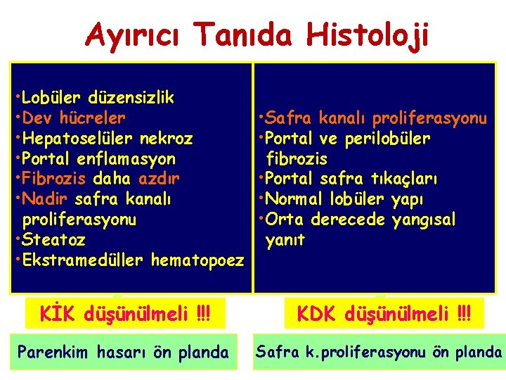 Ayırıcı Tanıda Histoloji • Lobüler düzensizlik • Dev hücreler • Hepatoselüler nekroz • Portal