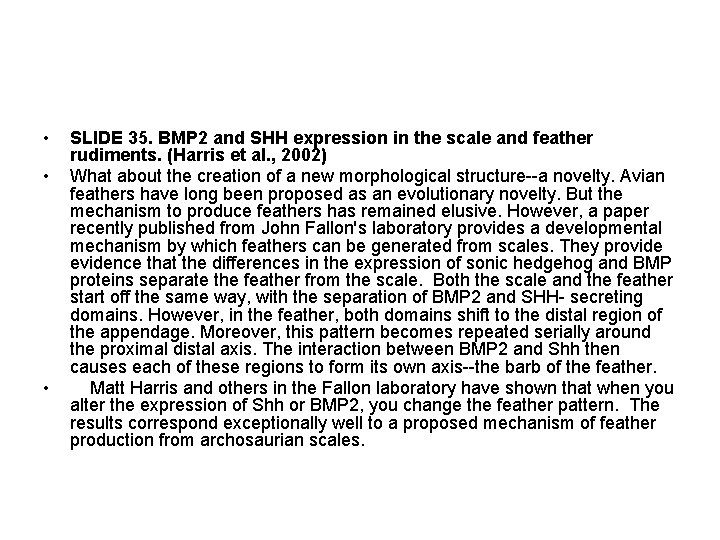  • • • SLIDE 35. BMP 2 and SHH expression in the scale