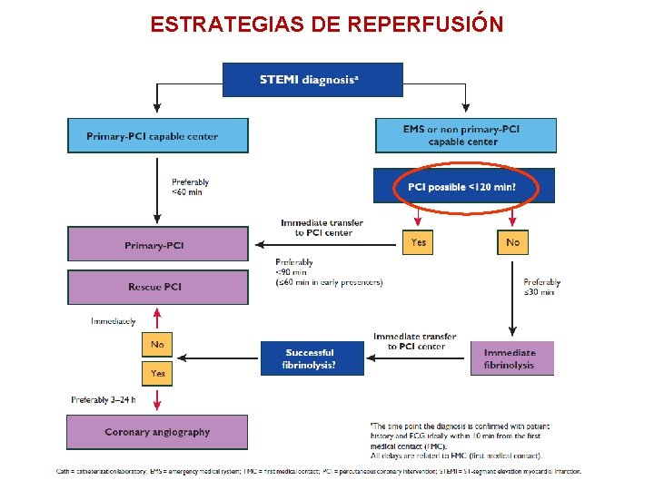 ESTRATEGIAS DE REPERFUSIÓN 