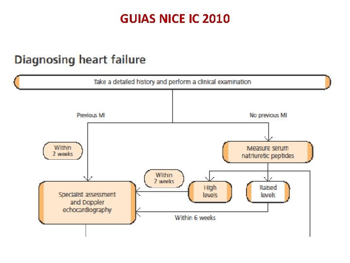 GUIAS NICE IC 2010 