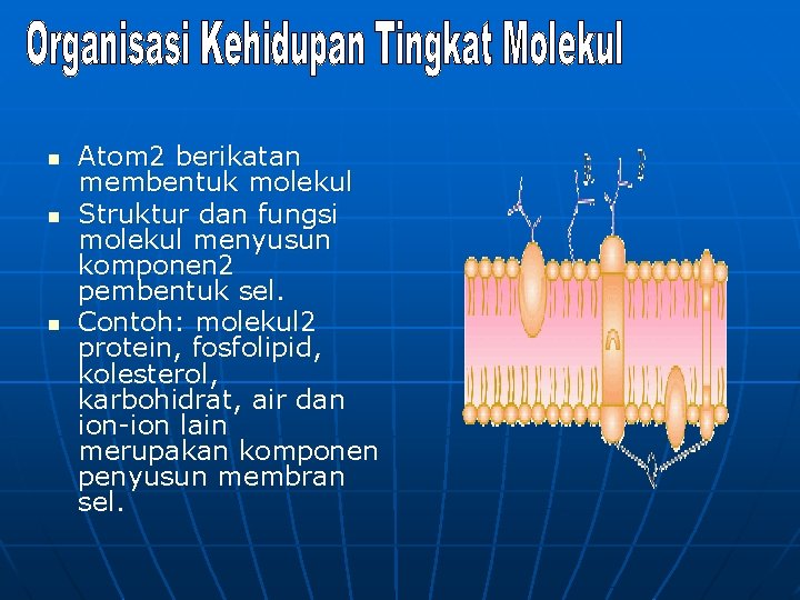 n n n Atom 2 berikatan membentuk molekul Struktur dan fungsi molekul menyusun komponen