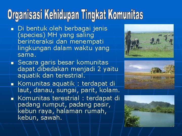 n n Di bentuk oleh berbagai jenis (species) MH yang saling berinteraksi dan menempati