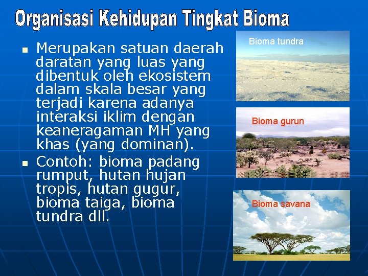 n n Merupakan satuan daerah daratan yang luas yang dibentuk oleh ekosistem dalam skala