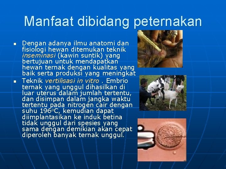 Manfaat dibidang peternakan n n Dengan adanya ilmu anatomi dan fisiologi hewan ditemukan teknik