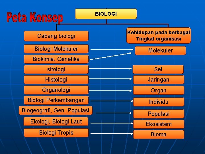 BIOLOGI Cabang biologi Biologi Molekuler Kehidupan pada berbagai Tingkat organisasi Molekuler Biokimia, Genetika sitologi