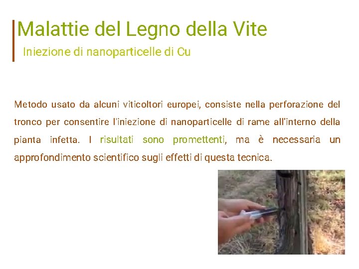 Malattie del Legno della Vite Iniezione di nanoparticelle di Cu Metodo usato da alcuni