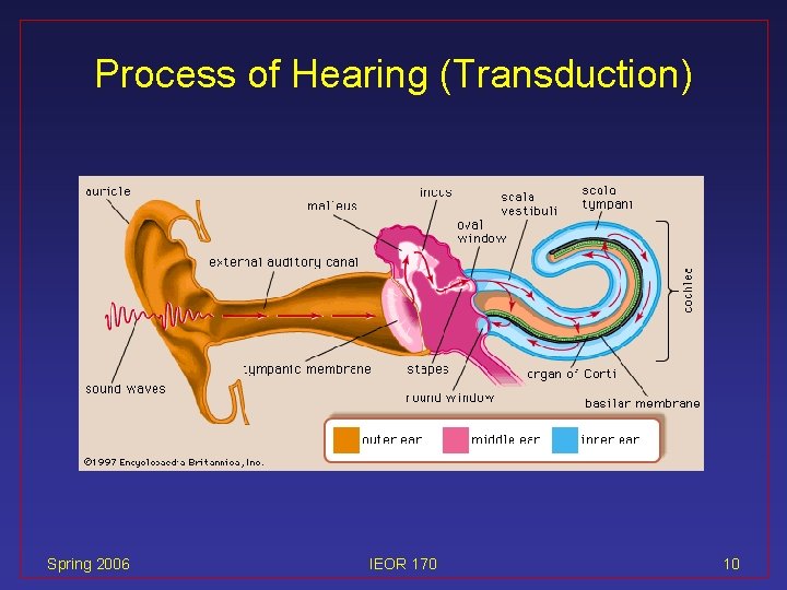 Process of Hearing (Transduction) Spring 2006 IEOR 170 10 