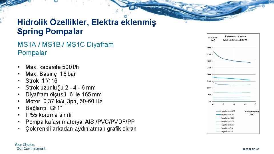 Hidrolik Özellikler, Elektra eklenmiş Spring Pompalar MS 1 A / MS 1 B /