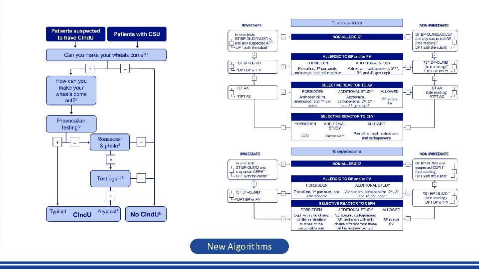 New Algorithms 